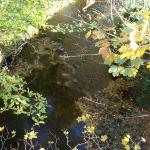 DSC03459.JPG