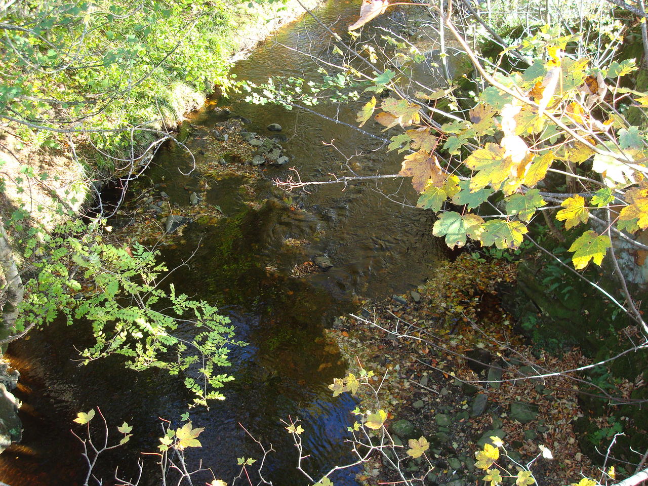 DSC03459.JPG