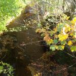 DSC03460.JPG