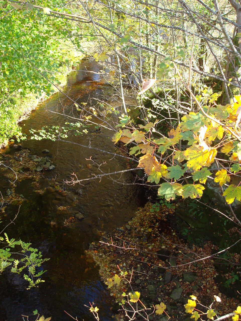 DSC03460.JPG