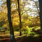 DSC03489.JPG