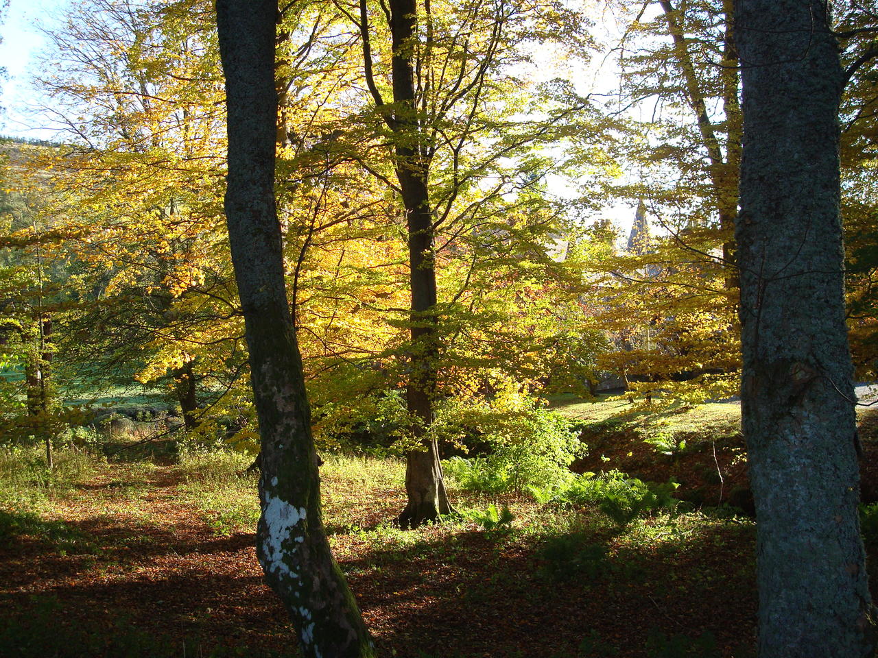 DSC03490.JPG