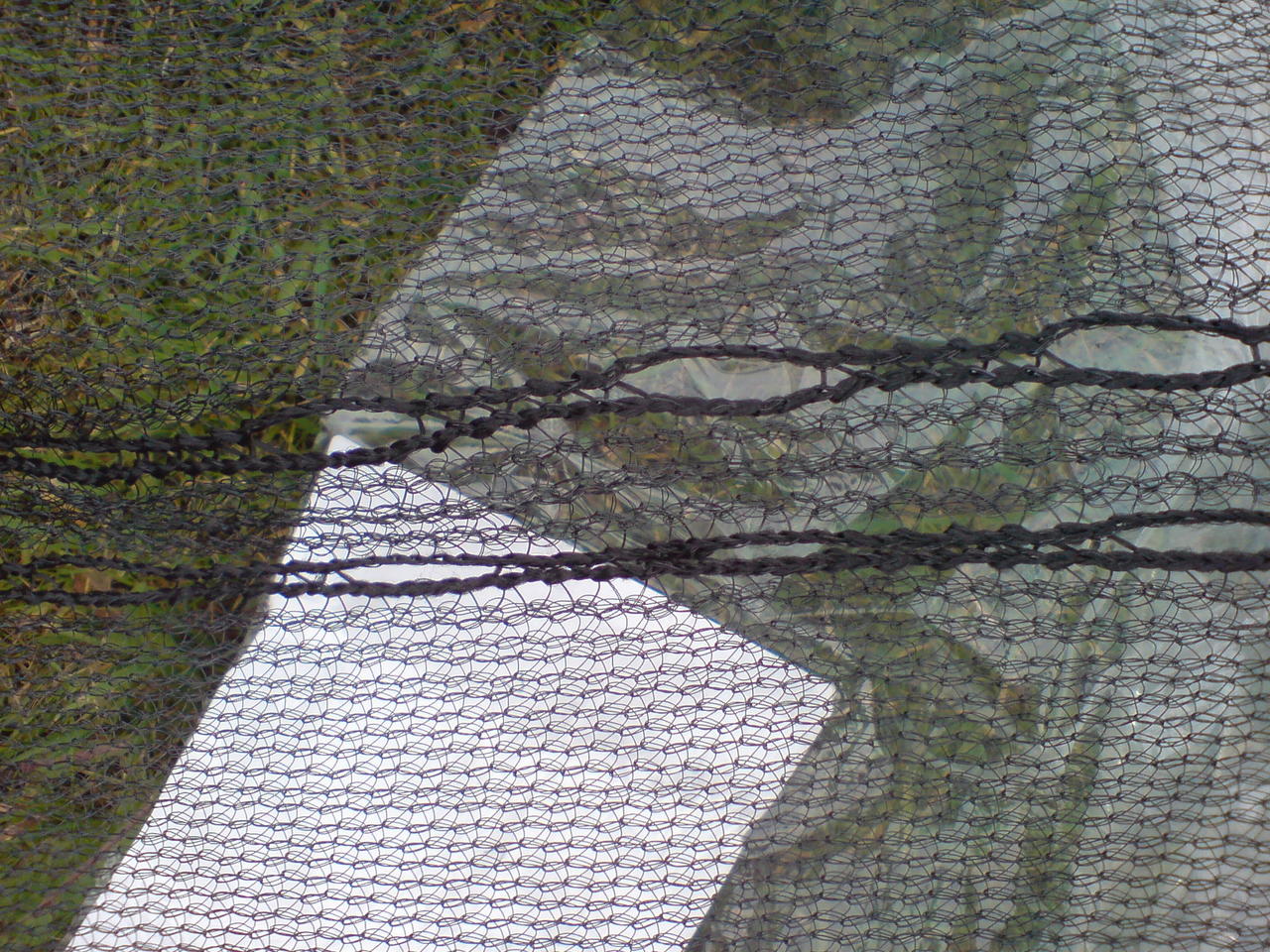 DSC00668