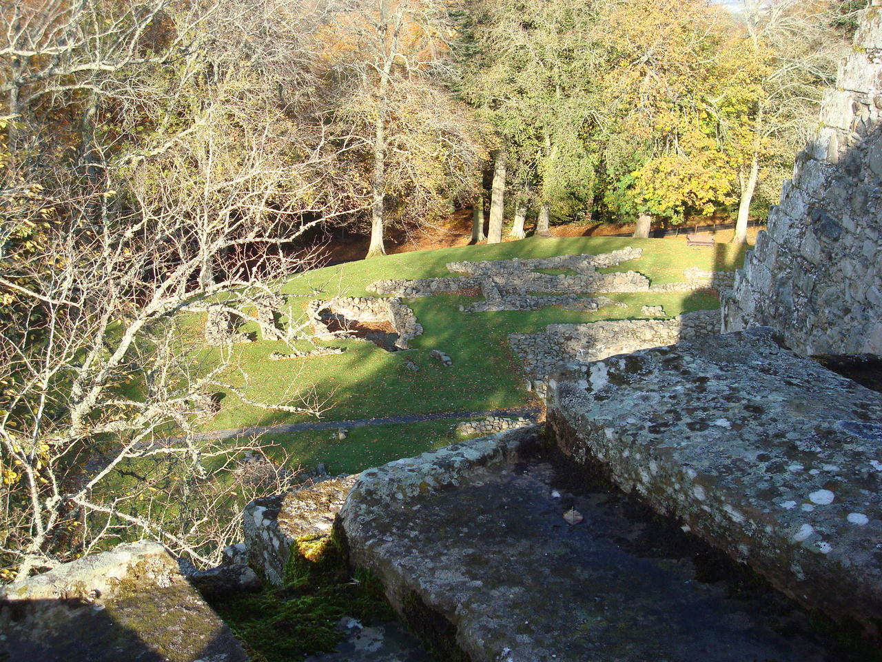 DSC03598.JPG