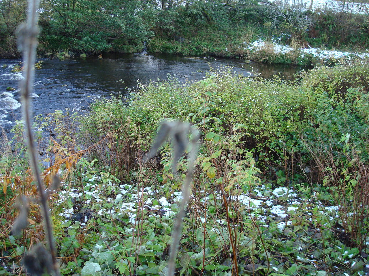 DSC03634.JPG
