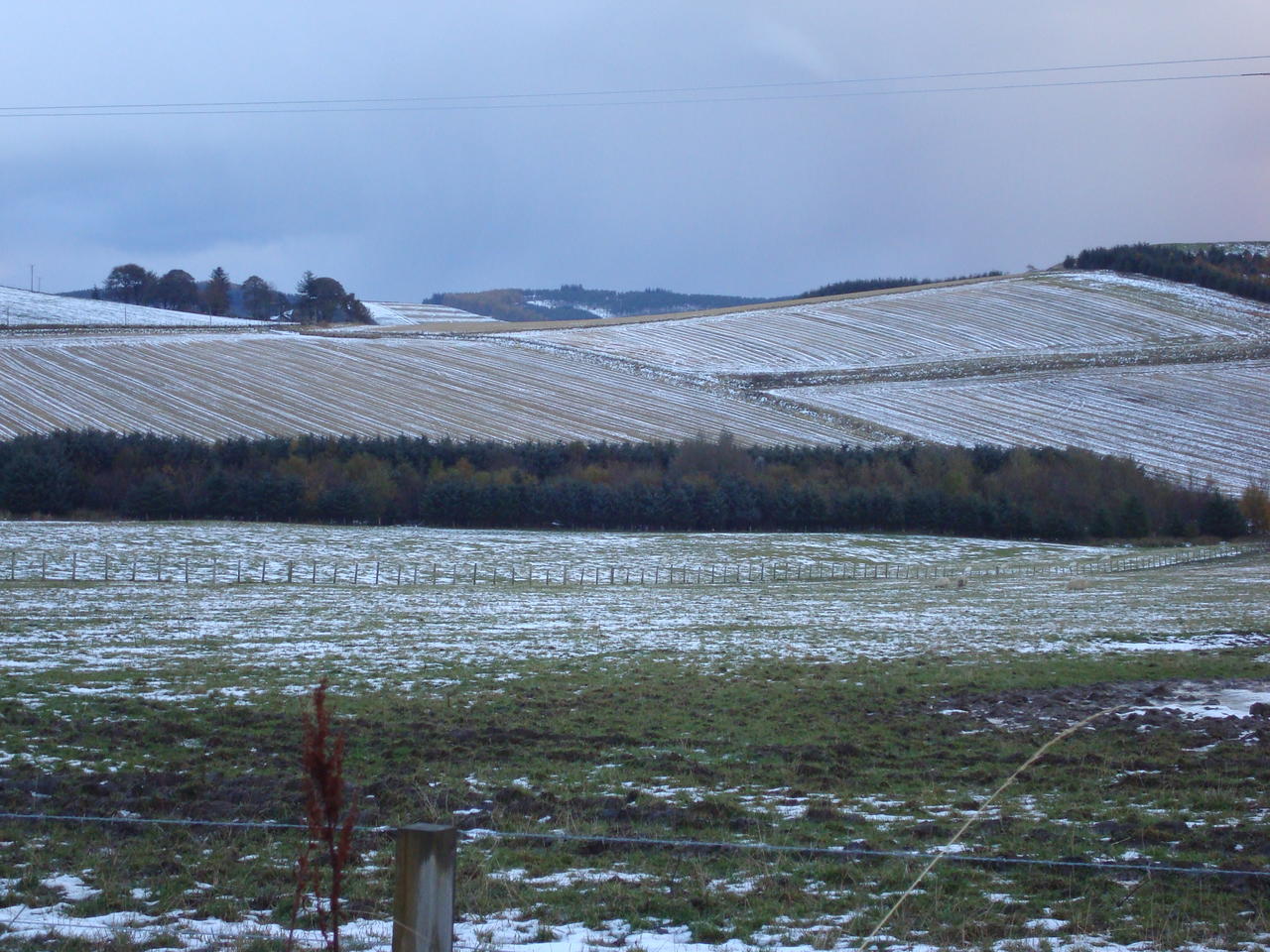 DSC03659.JPG