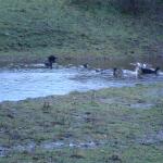 DSC03661.JPG
