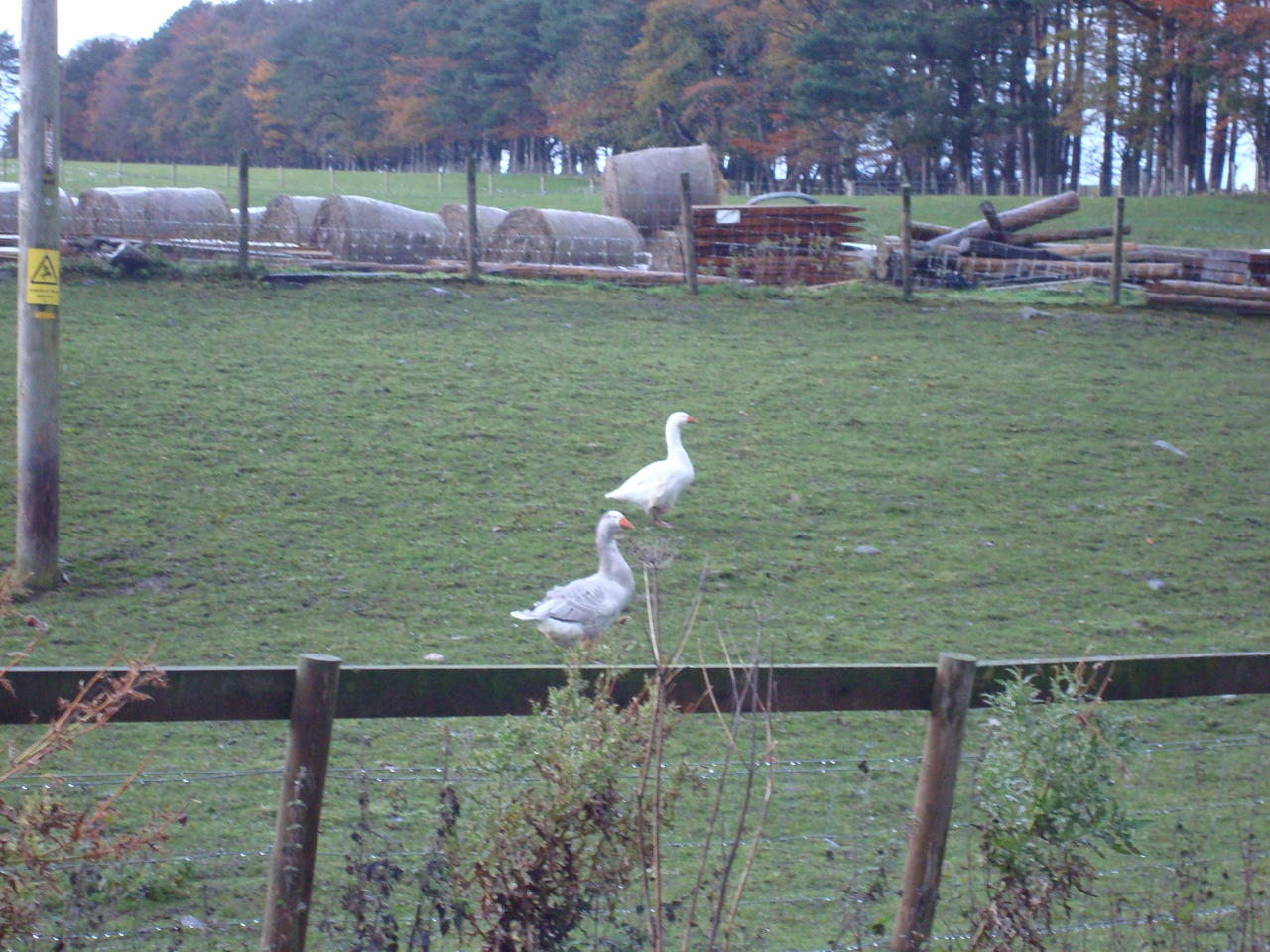 DSC03663.JPG