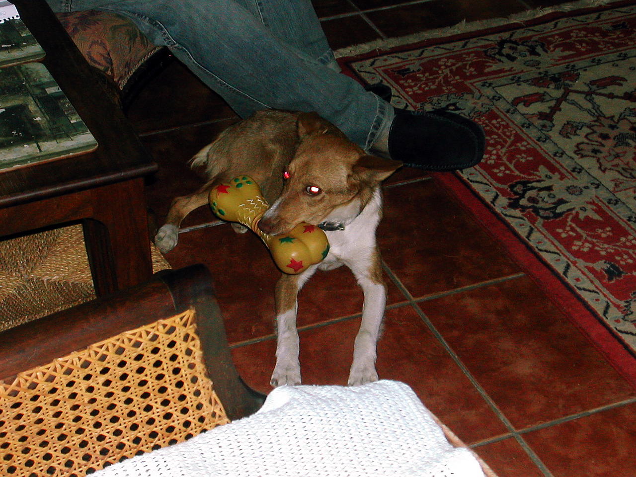 DSCN4197#001