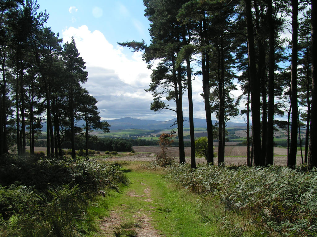 view from St Cuthberts cave