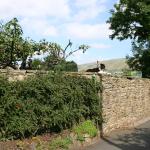 Photo Library - 1302