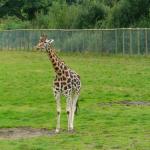 DSC00141.JPG