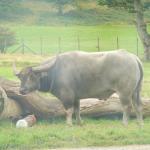 DSC00164.JPG