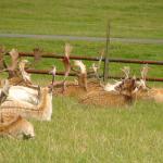 DSC00176.JPG