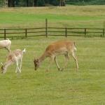 DSC00177.JPG