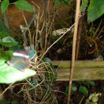 DSC00225.JPG