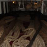 DSC00335.JPG