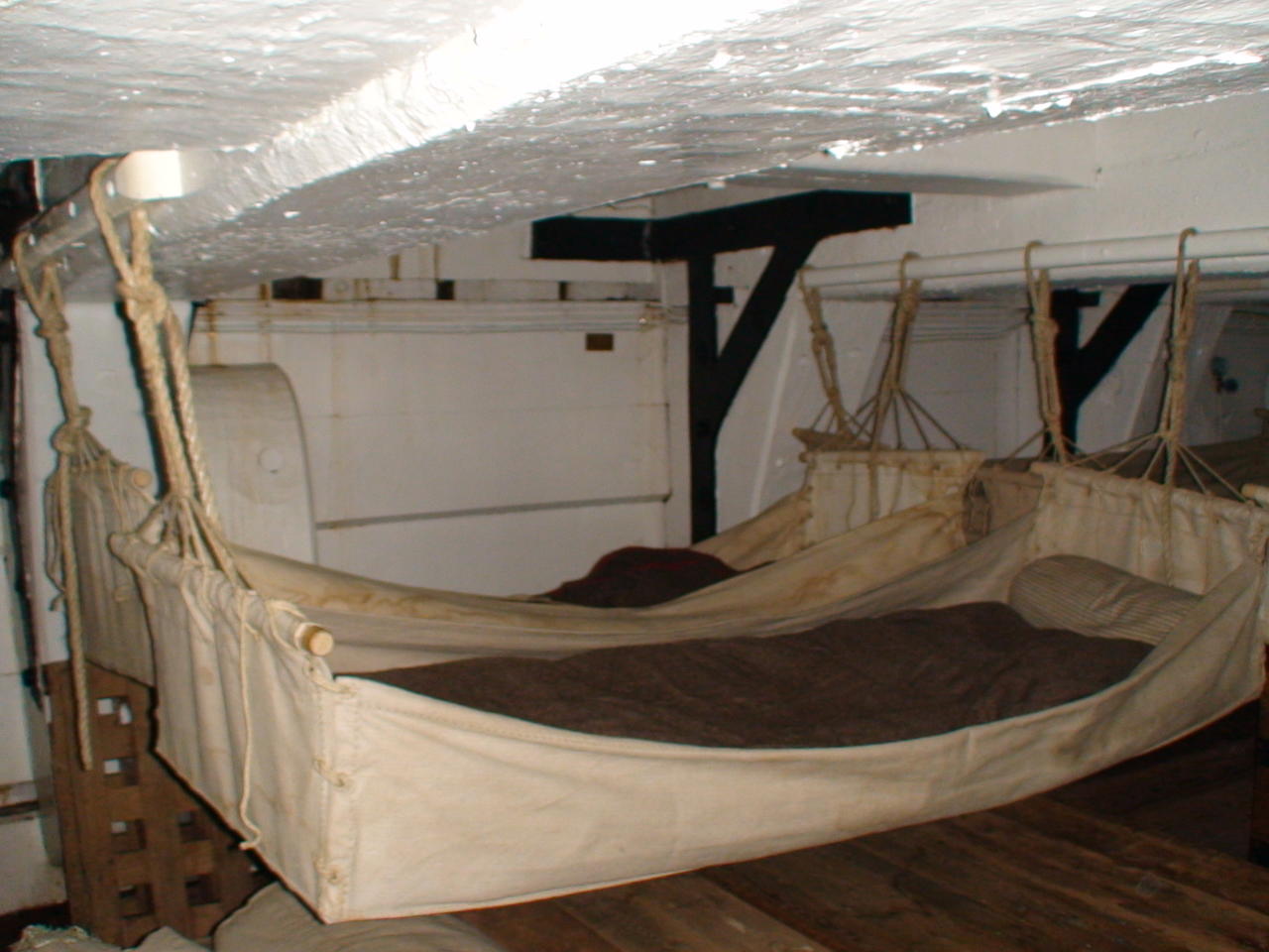 DSC00336.JPG