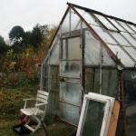 greenhouse5