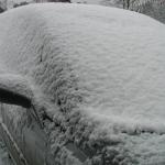 P1010001.JPG