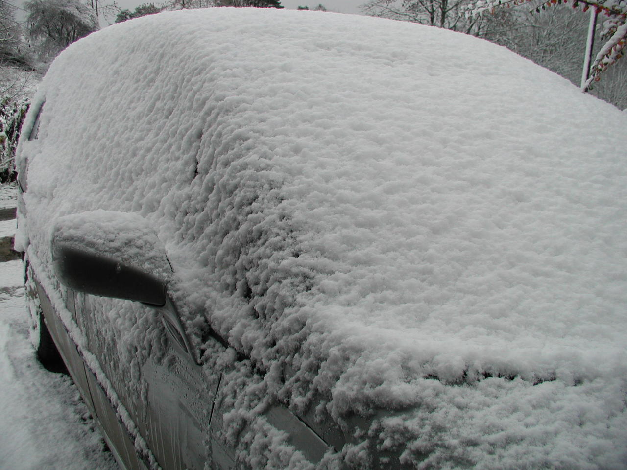 P1010001.JPG