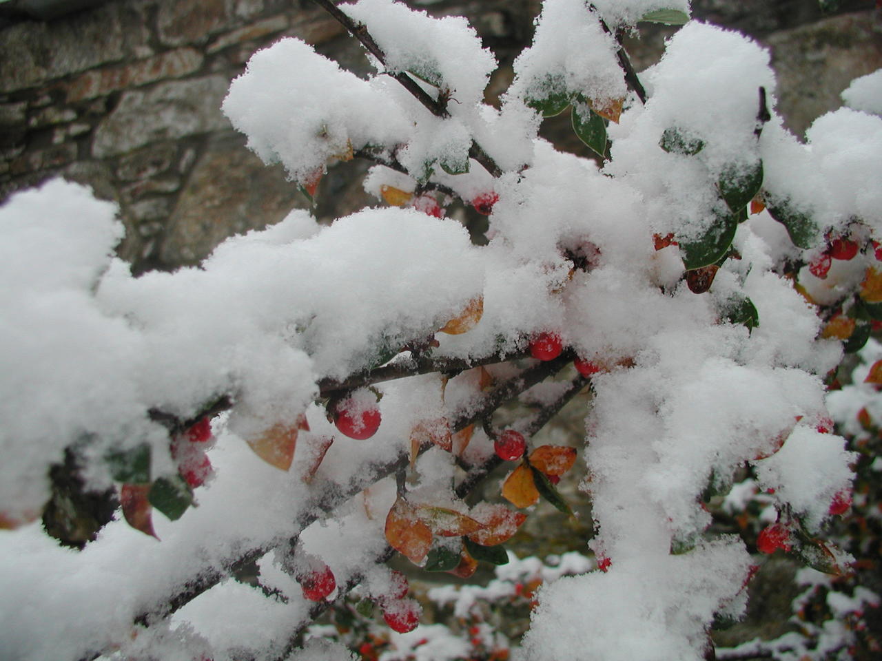 P1010005.JPG