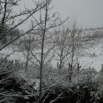 P1010007.JPG