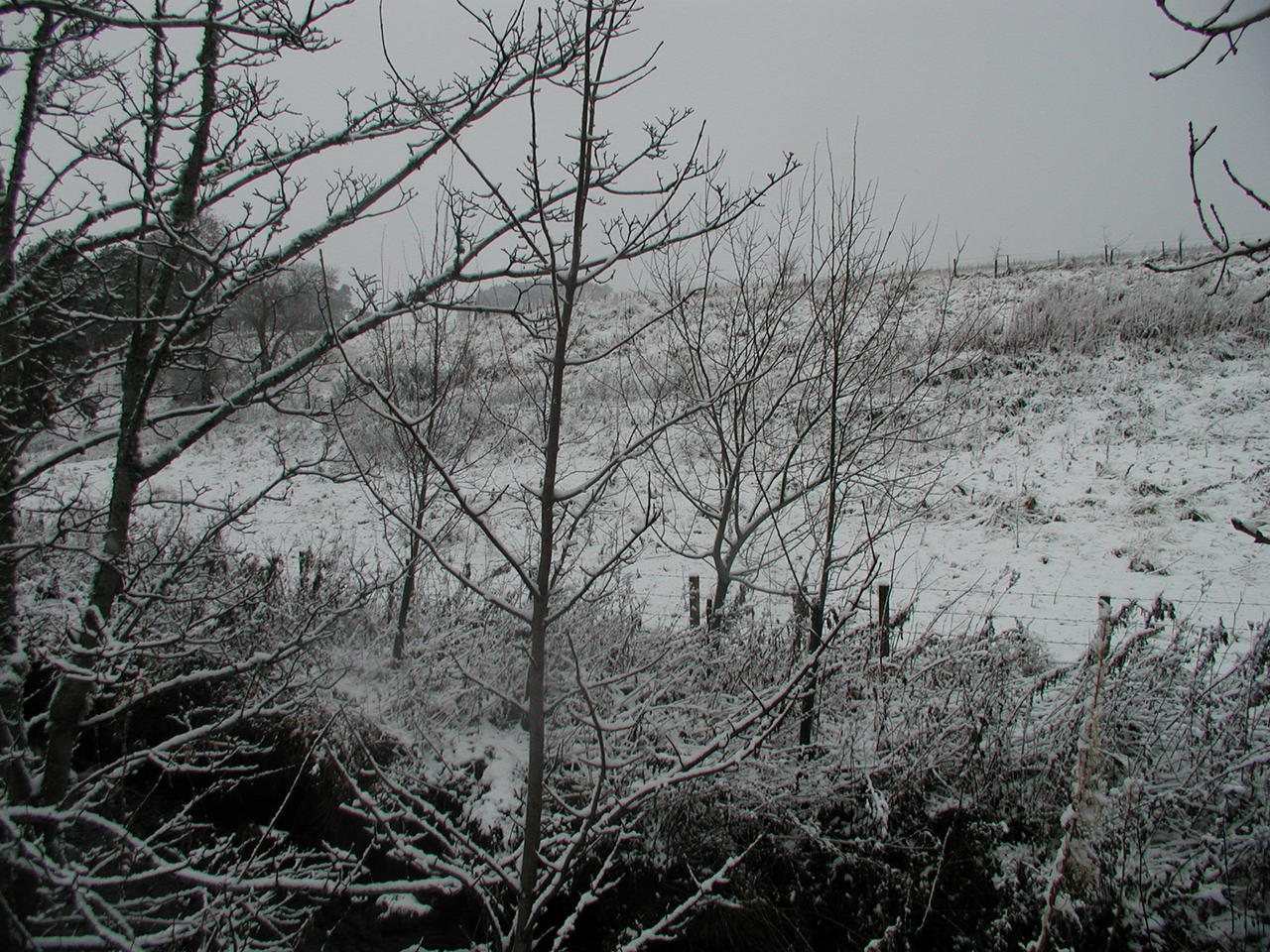 P1010007.JPG