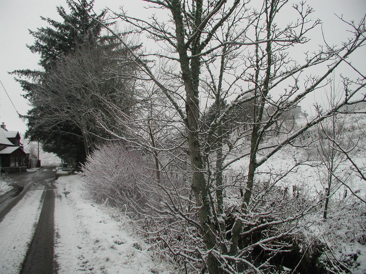 P1010008.JPG