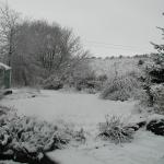 P1010009.JPG