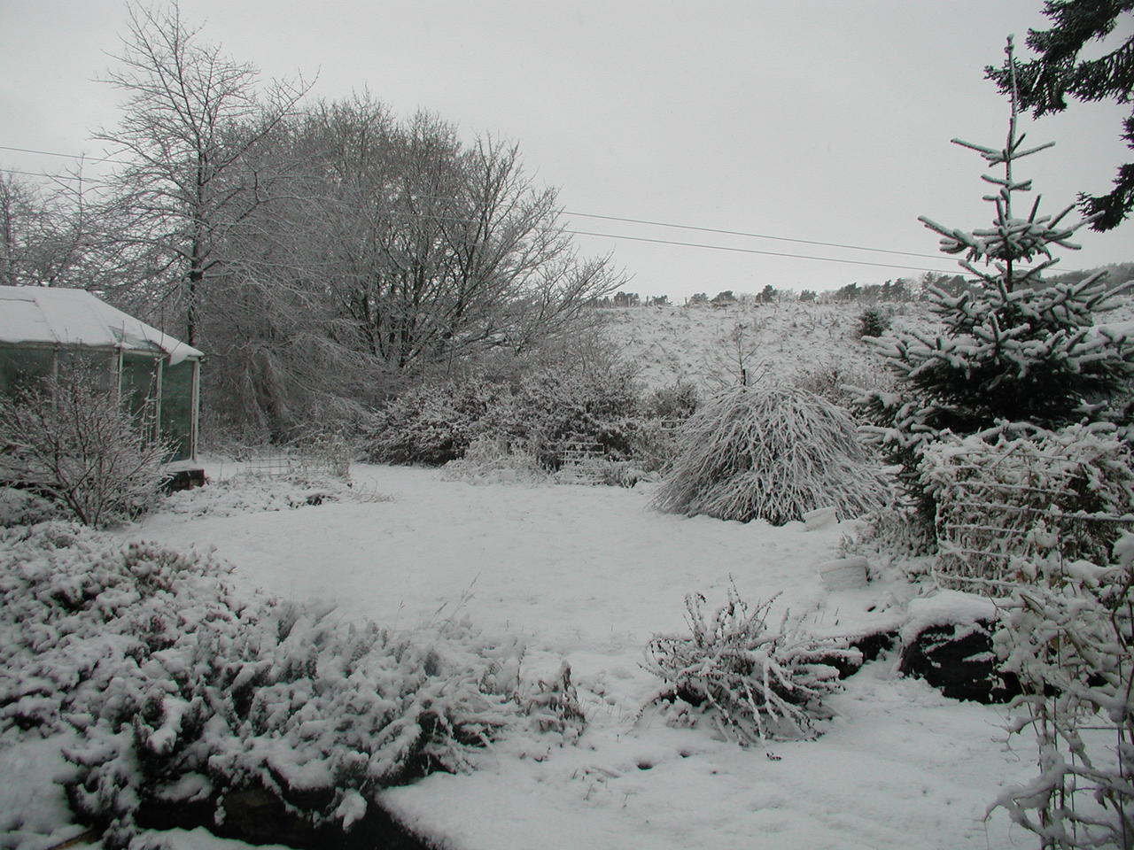 P1010009.JPG
