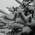 P1010010.JPG