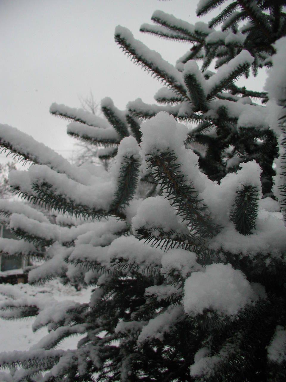 P1010010.JPG