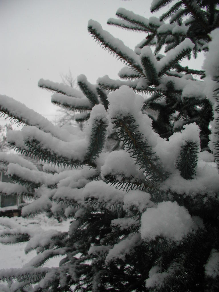 P1010010.JPG