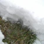 about 6 inches I'd say