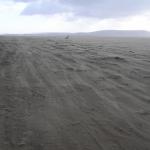 Pembrey 075