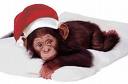 christmas monkey