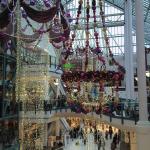 Photo-0114_Harlequin_2008