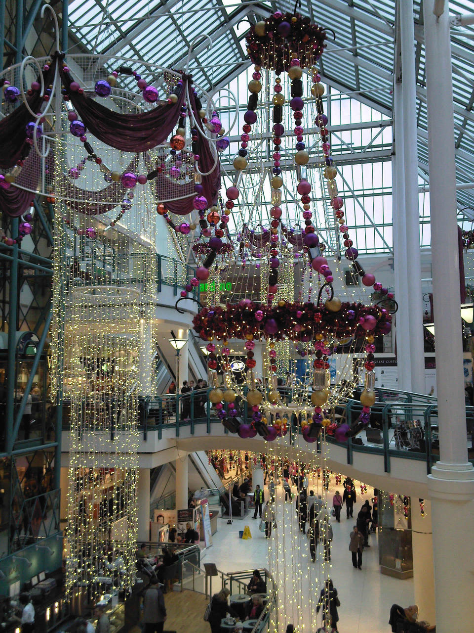 Photo-0114_Harlequin_2008