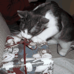christmas_parcelcat