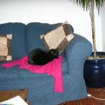 Parsnip 004