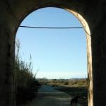 DSCN4286#001