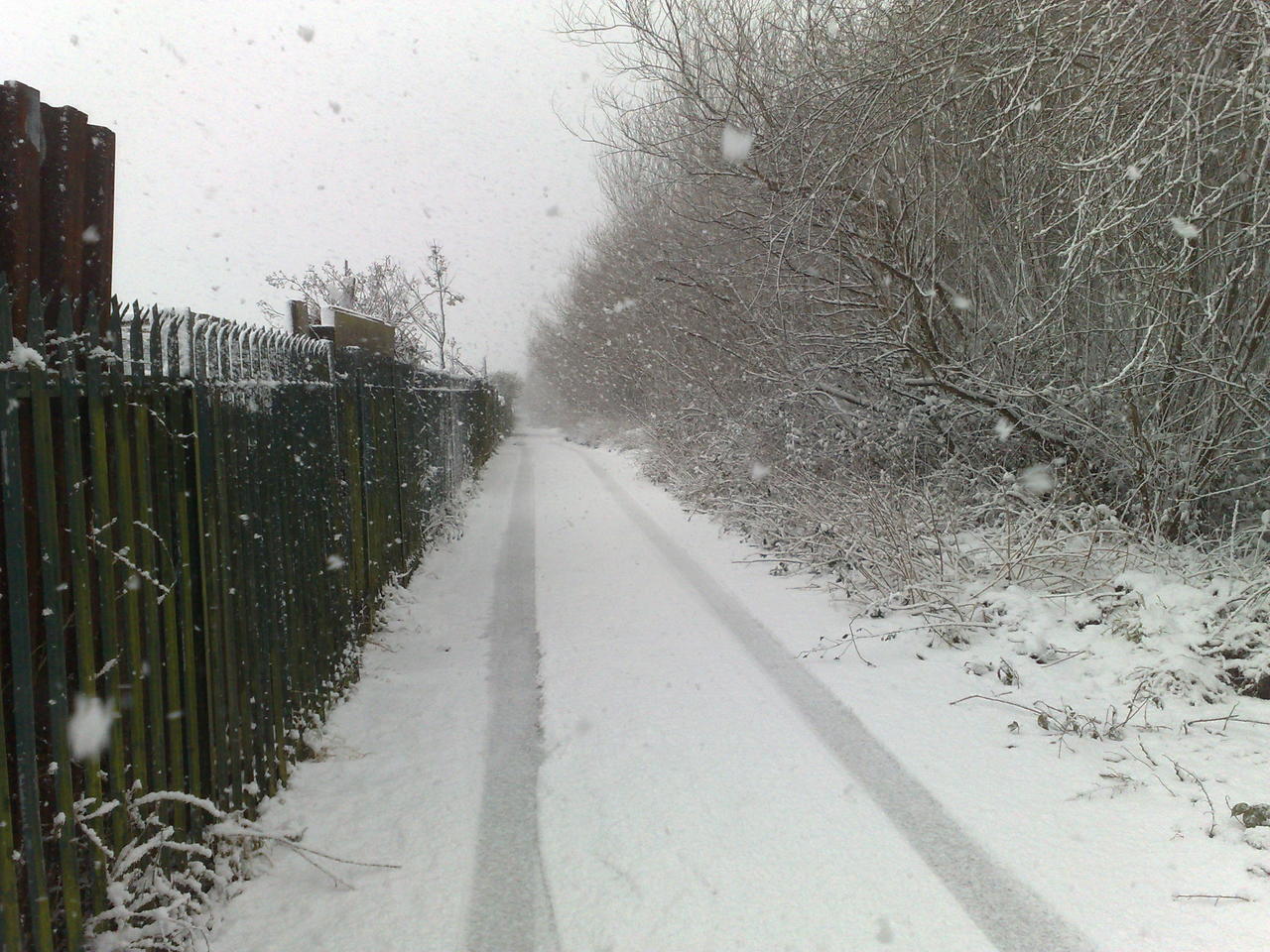 Winter1