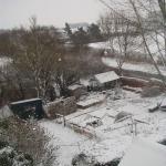 snow pics 09