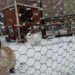 DSC00627.JPG