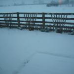 DSCF0316.JPG