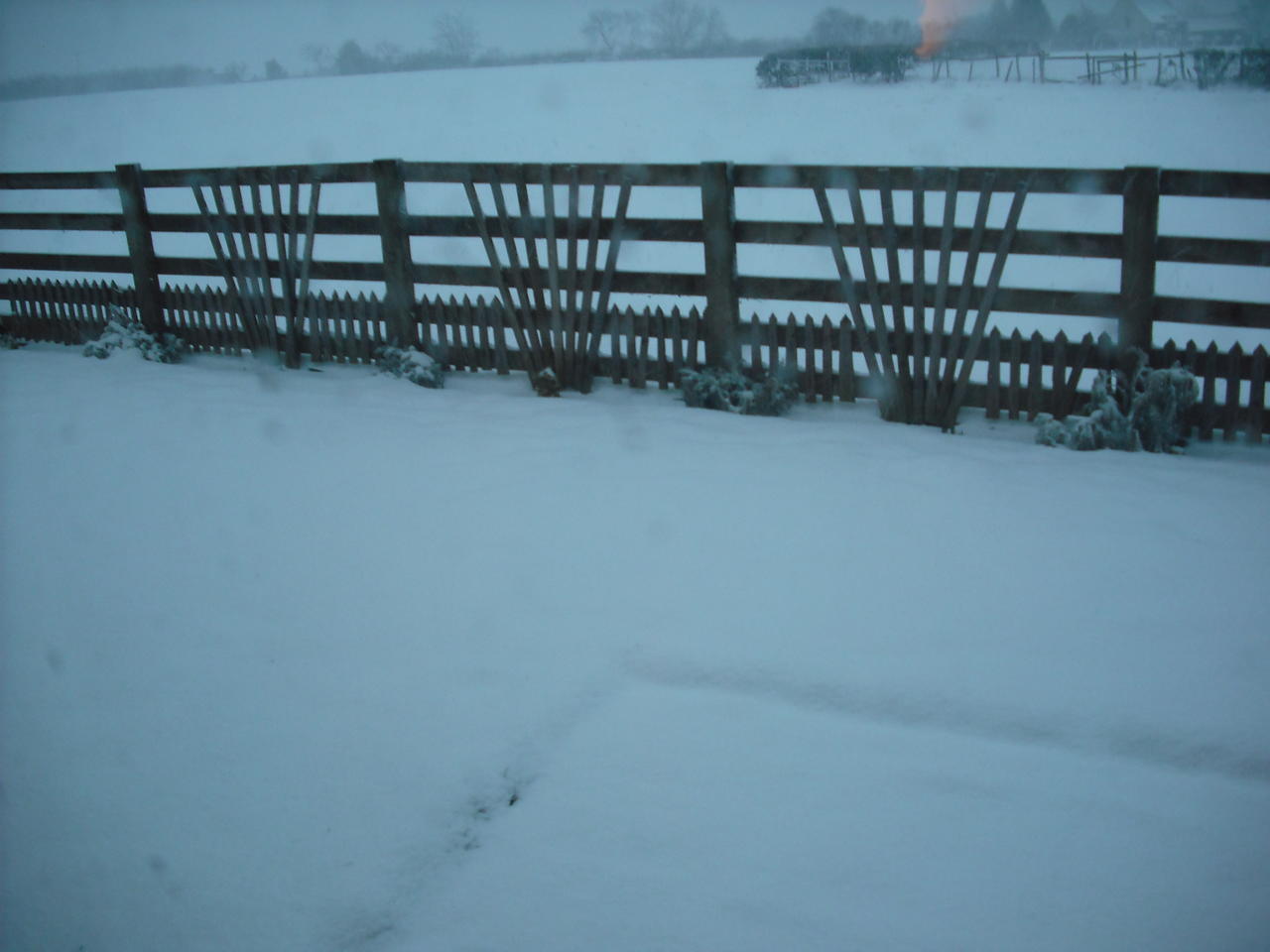 DSCF0316.JPG
