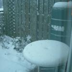 DSCF0317.JPG