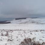 DSC00071.JPG