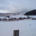 DSC00075.JPG